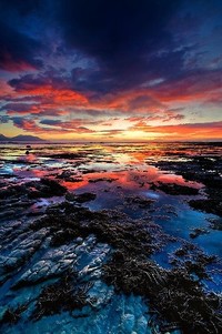 巅峰对决：当汗水与荣耀交织，燃爆全场的无限可能