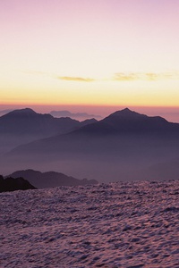 巅峰对决：当汗水与荣耀交织，燃爆全场的无限可能