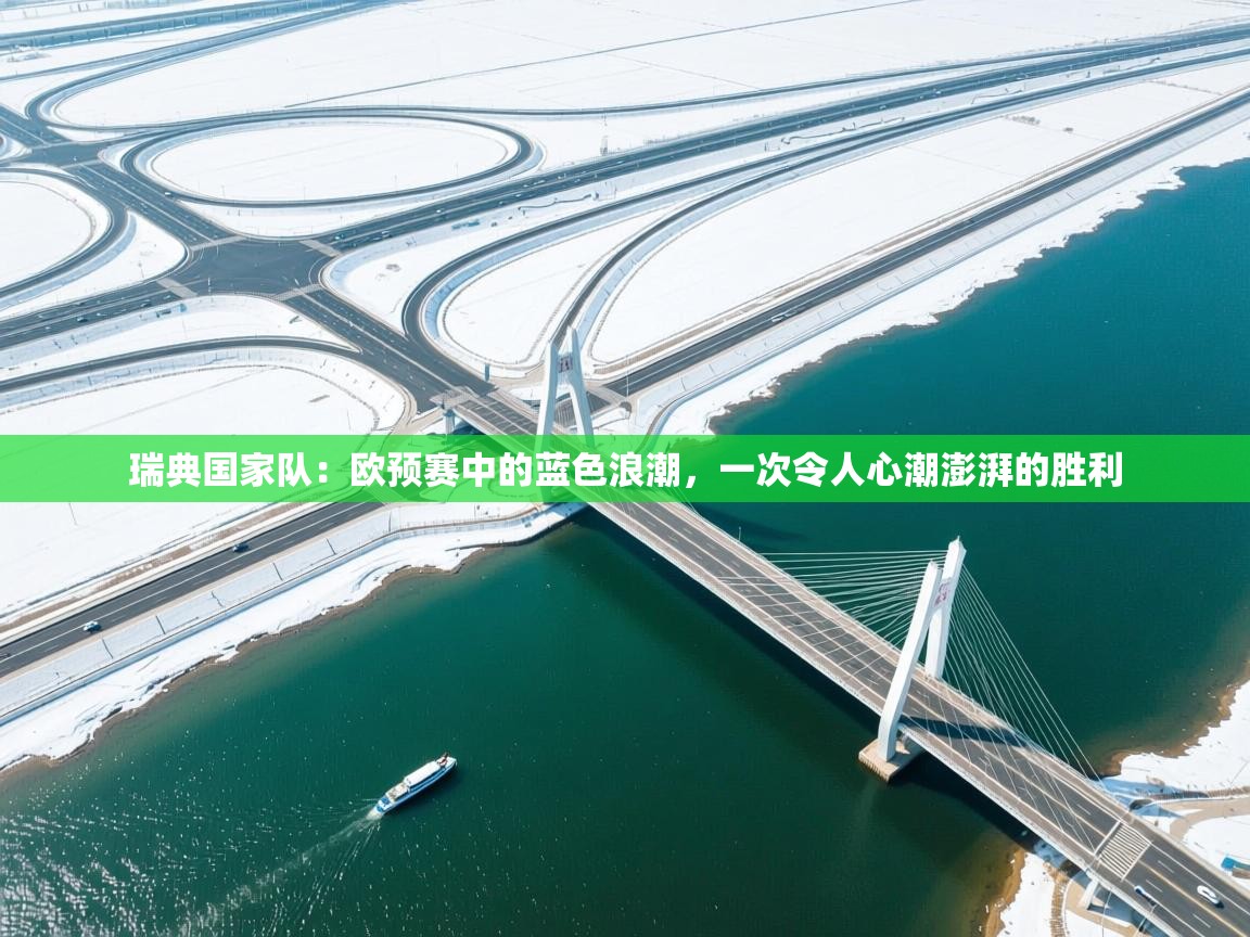 瑞典国家队：欧预赛中的蓝色浪潮，一次令人心潮澎湃的胜利  第2张